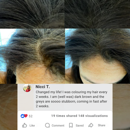 Hairline Powder Sevichᵀᴹ